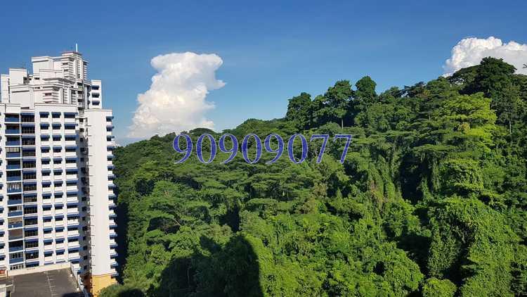 Blk 109A Depot Road (Bukit Merah), HDB 4 Rooms #173209822